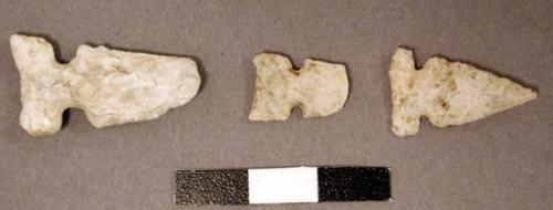 Stone projectile points, side-notched