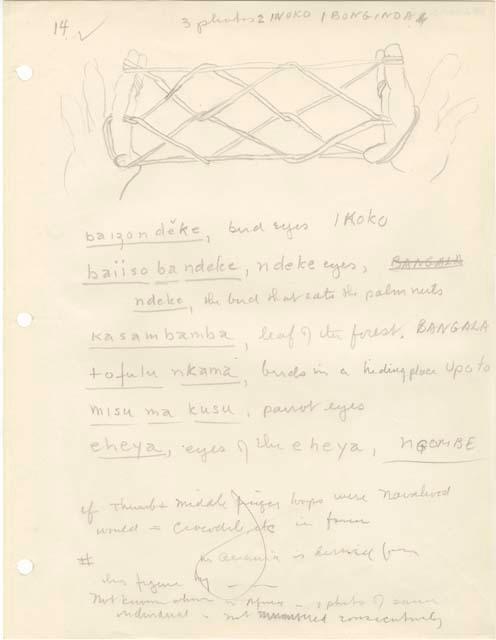 Diagram of string figures from the Beligian Congo.