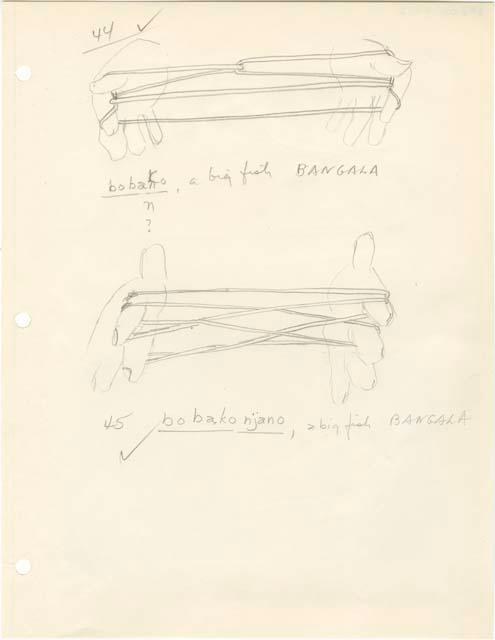 Pencil drawing of string figures from the Beligian Congo with notes.