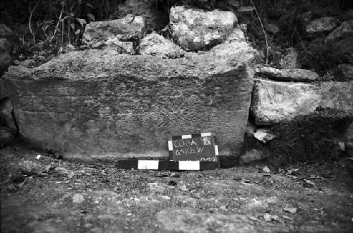 Fragment of Stela 19 at Coba