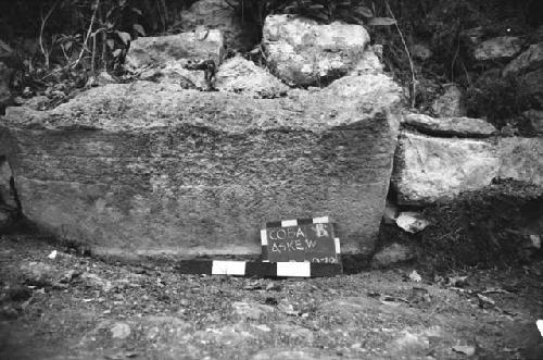 Fragment of Stela 19 at Coba