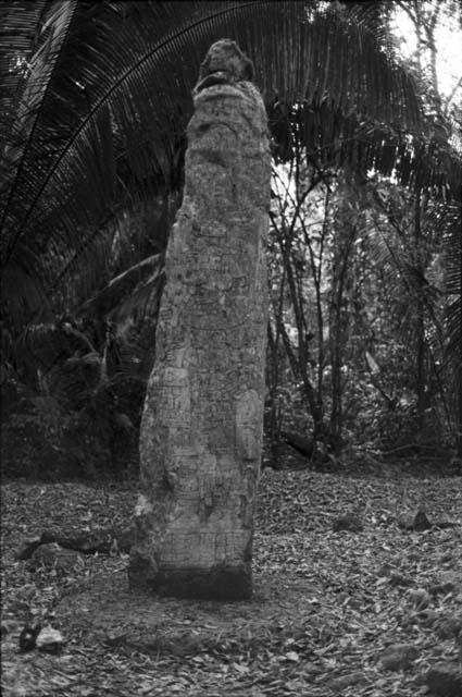 Stela 14 from Seibal