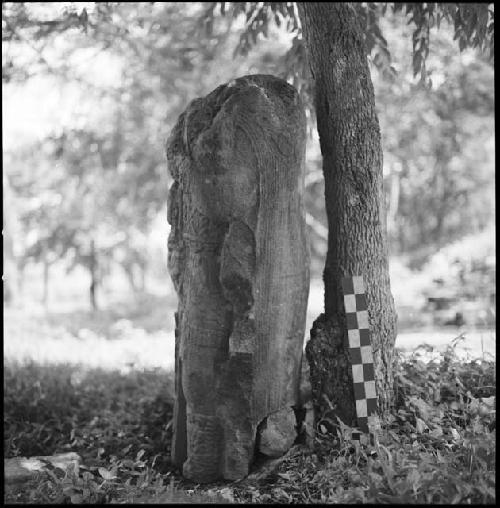 Monument 12 at Tonina