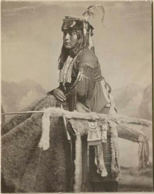 Studio portrait - Comanche