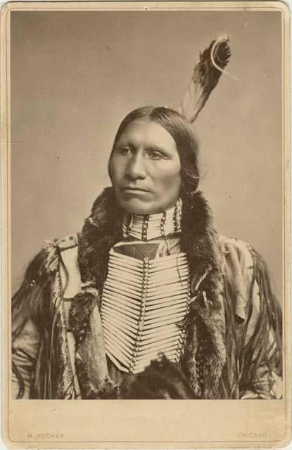 Chief American Horse