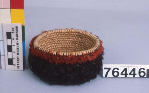 Feathered basket