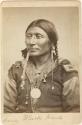 Portrait of Black Hawk, Kiowa chief