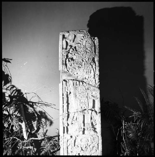 Stela from Tamarindito