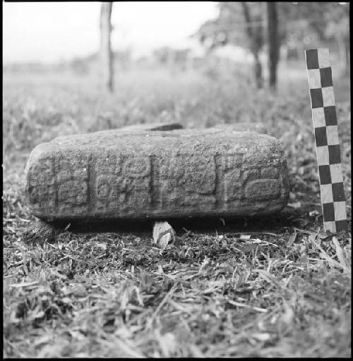 Stela base (Monument 43) at Tonina