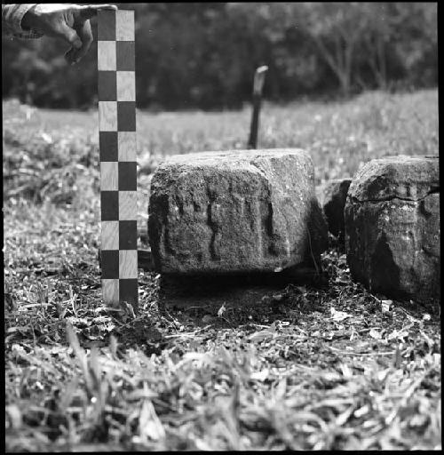 Stela base (Monument 43) at Tonina