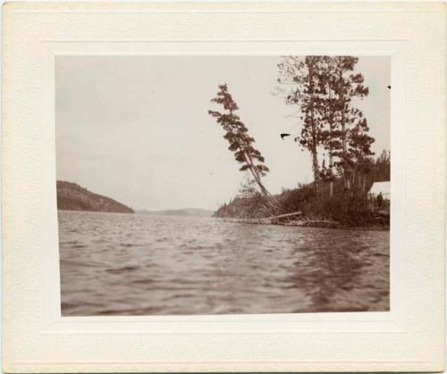 Camp at Agnus Lake. Oct 2, 1899