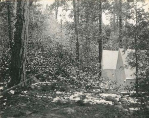 A frame tents and encampment