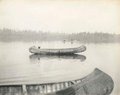 dog sitting along in canoe