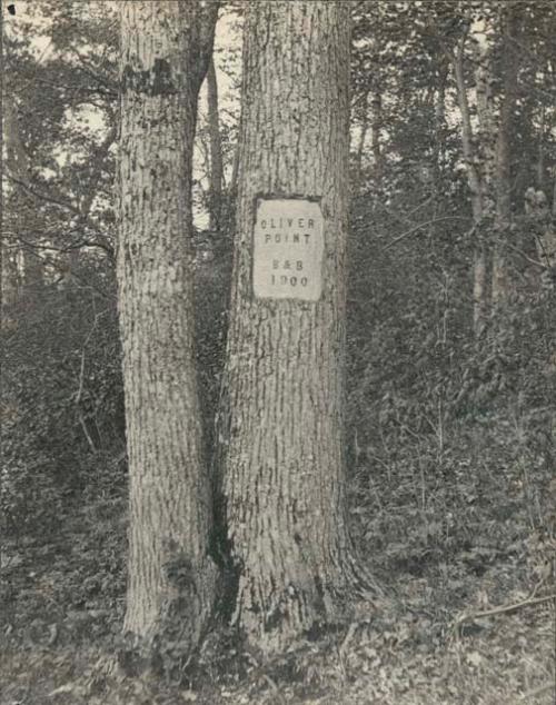 "Camp 2/ Oliver Point Signpost. May 16"