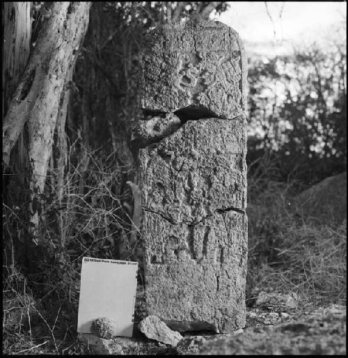 Stela 7 at Uxmal