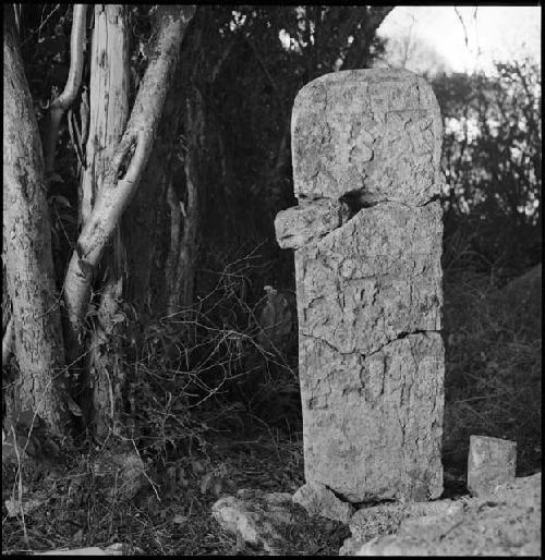 Stela 7 at Uxmal