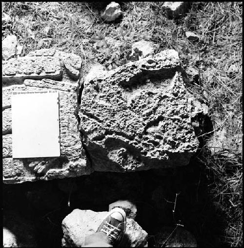 Fragment of Stela 6 at Uxmal