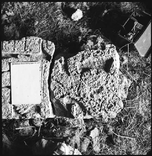 Fragment of Stela 6 at Uxmal