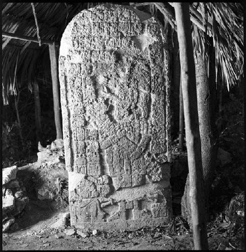 Stela 6 at Coba