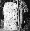 Stela 6 at Coba