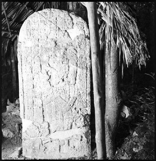 Stela 6 at Coba