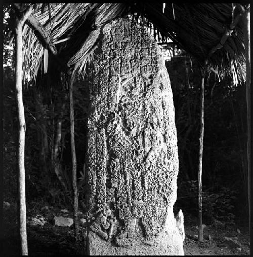 Stela 5 at Coba