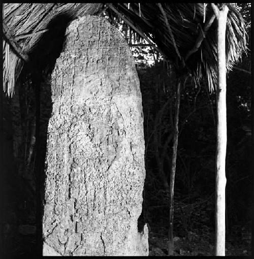 Stela 5 at Coba