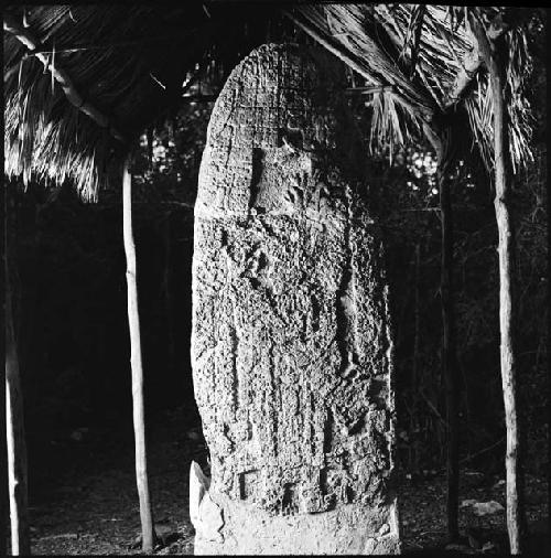 Stela 5 at Coba