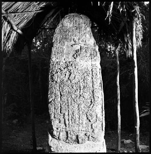 Stela 5 at Coba