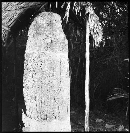 Stela 5 at Coba