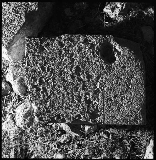 Fragment of Stela 13 at Uxmal