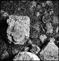 Sculpted stone at Uxmal