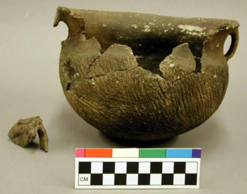 Ceramic, earthenware vessel, flared rim, handles, shell temper, dentate rim, cord impressed; one sherd crossmends; several sherds crossmended with glue