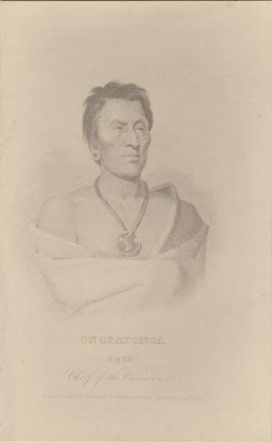 Chief Ongpatonga, Big Elk