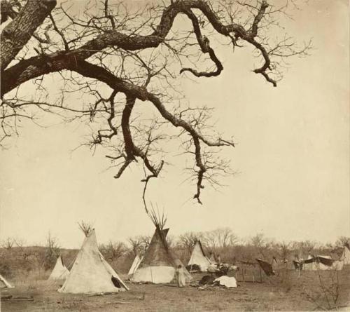 Quir-par-ko or Lone Wolf's Camp