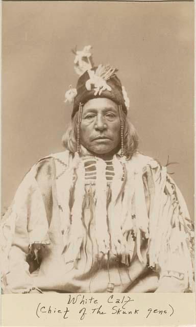 White Calf (chief of the skunk gens), age 60 or Anishtaibuka