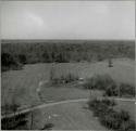 Lower Mississippi Survey Photograph Collection:  Manny site  Mound A  from SW
