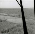 Lower Mississippi Survey Photograph Collection:  22-M-1 Thornton site