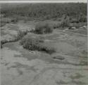 Lower Mississippi Survey Photograph Collection:  22-M-5  Haynes Bluff