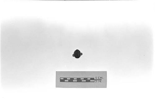 Lower Mississippi Survey Photograph Collection:  negative, Haynes Bluff artifacts