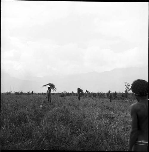 Men in the distance hold aloft heaps of grass