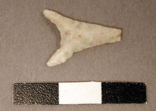 Stone projectile point, lanceolate