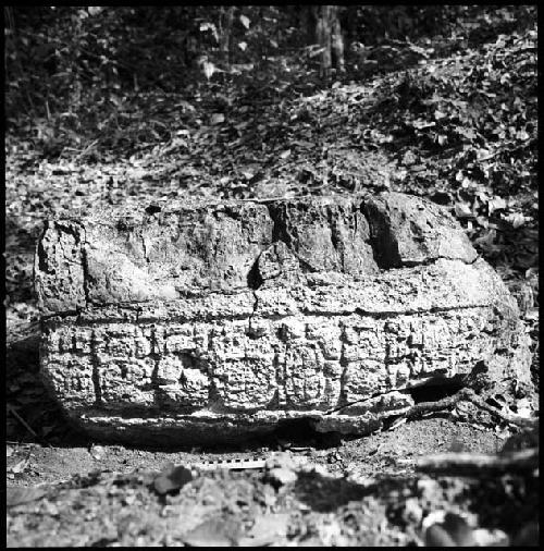 Stela 23 at Uaxactun