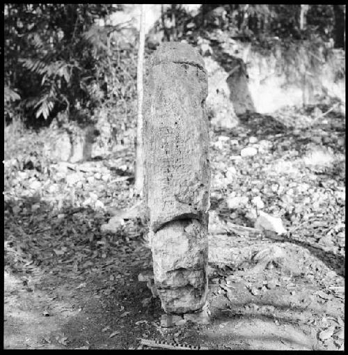 Detail of Stela 10 at Uaxactun