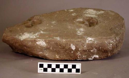 Sandstone with marks of animal feet