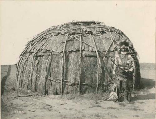 Kickapoo lodge made out of elm bark erected at St. Louis, 1904