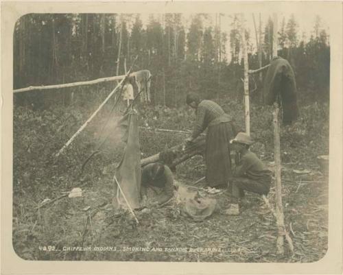 Chippewa Indians smoking and tanning buck skins