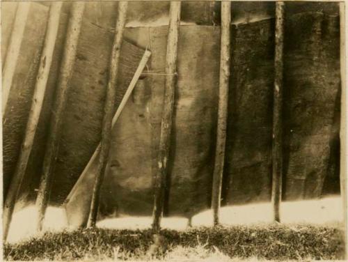 Stages in building wigwam, detail of bottom bark strip taken from interior