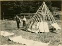 A man and woman in the process of building a Micmac wigwam