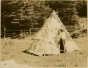 A woman covering the frame of a wigwam with bark strips